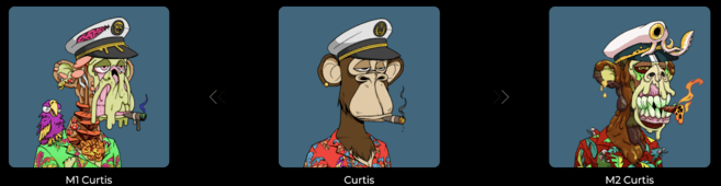 bored ape yacht club