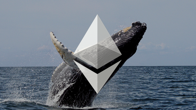 During The Market Downturn, Ethereum Whales Added $500 Million in Coin.