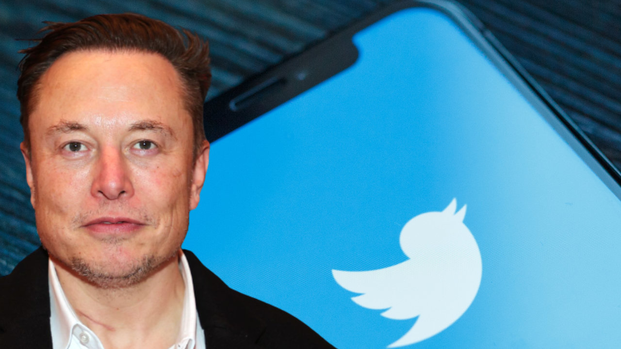 Elon Musk criticizes Twitter's NFT profile