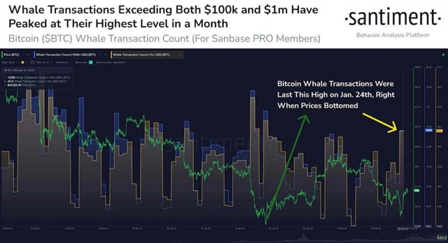 Giá Bitcoin sẽ tăng mạnh, Bitcoin, Ảnh cá voi 1 
