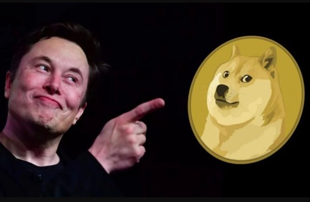 According To A Twitter User Elon Musks Tweet Contains A Hidden DOGE Message