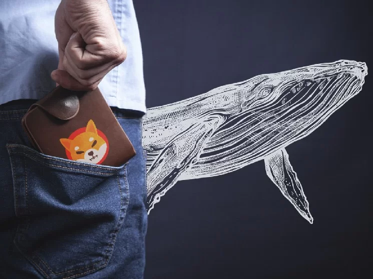 SHIB Makes A Comeback On The Top 10 Cryptos Whales Want