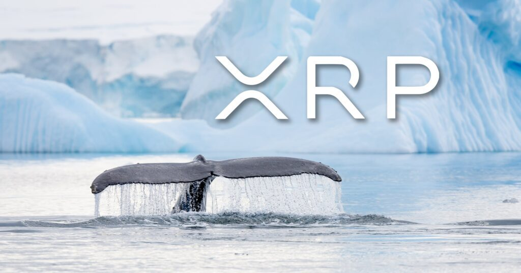 Whales continue to stockpile XRP.