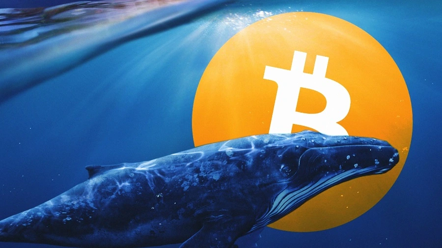 7,831 BTC Moved From Coinbase To Cold Wallets As BTC Targets $46,000