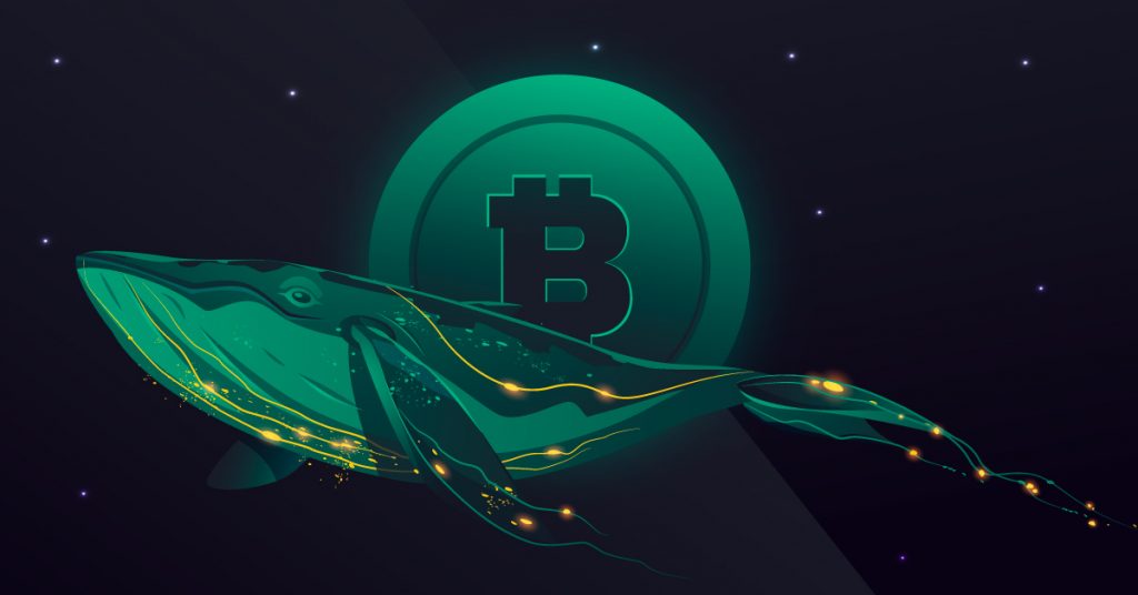 Bitcoin Whale Abruptly Moves Over $600,000,000 in BTC