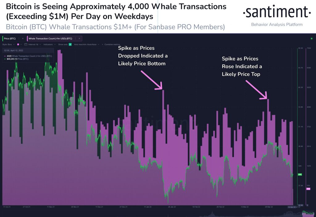 Bitcoin Whale Transactions Spike As $1,046,164,730 in BTC Leaves Crypto Exchanges in Just 24 Hours
