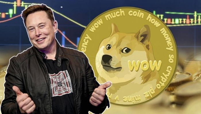 Dogecoin Spikes By 13% Minutes After Elon Musk's Twitter Purchase Confirmation