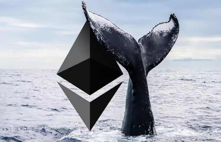 Ethereum Whales Pounce on Crypto Project Backed by FTX As Chainlink, Shiba Inu and Several Altcoins Endure Outflows