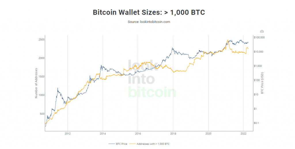 Bitcoin Wallet Sizes: > 1,000 BTC