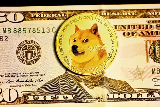 This Dogecoin Transaction Happened Without Access To Internet 2