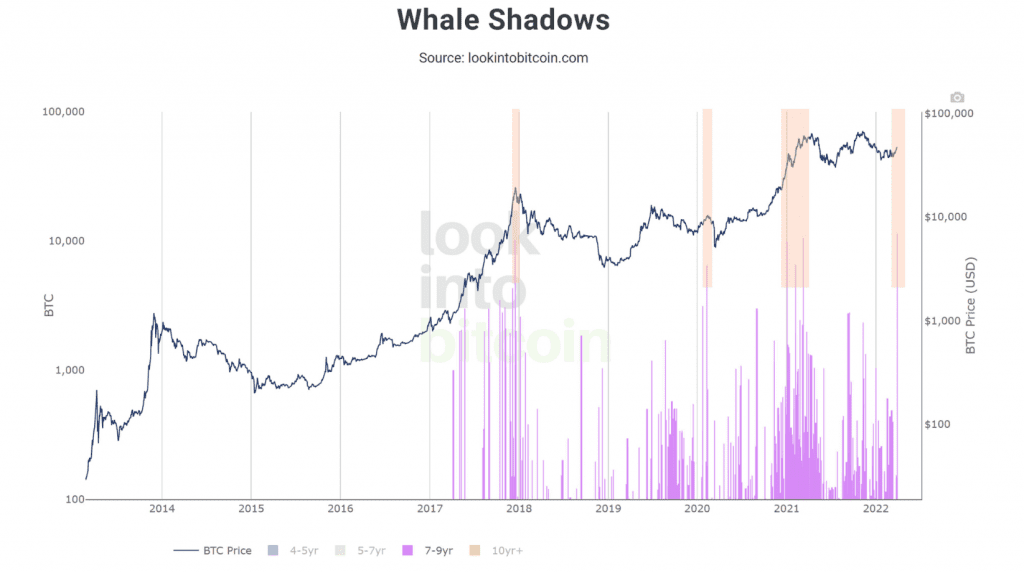 Bitcoin Whale Moves $9,600,000 BTC After Sleeping for 7 Years