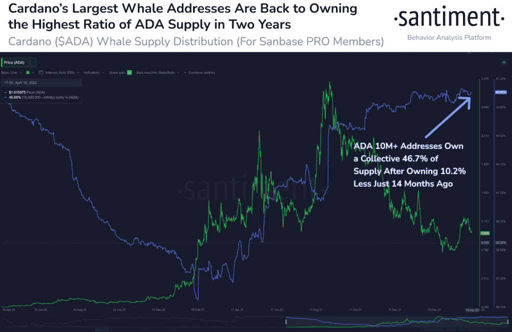 $ADA's Top Whales Have Returned to the 'Largest Percentage of Supply Held in 2 years.'