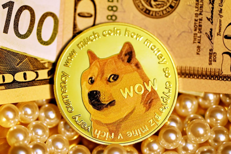WordPress Websites Can Now Accept DOGE Payments, Giving Dogecoin Even More Use
