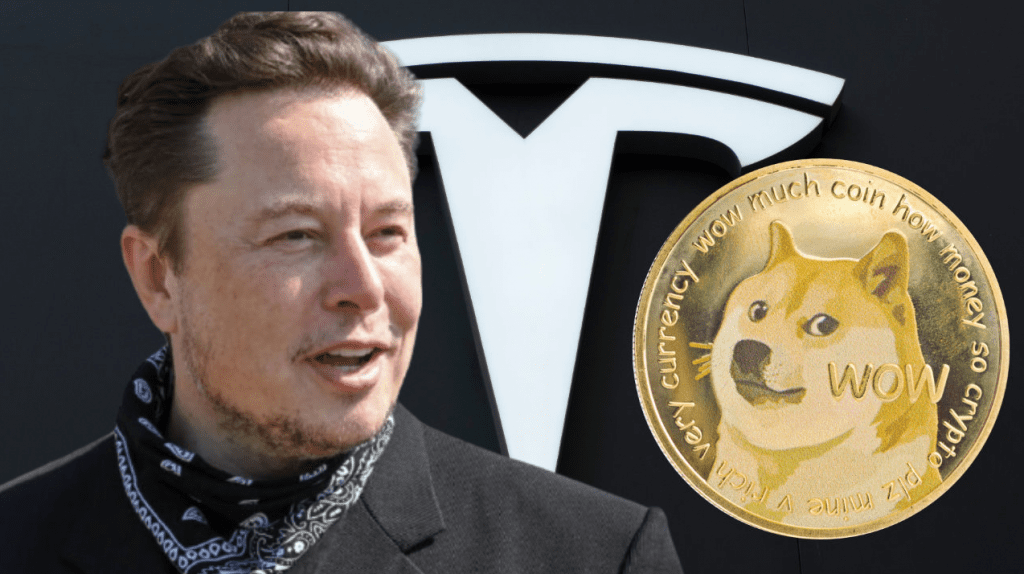 Elon Musk commented on the future of Dogecoin: "It has potential as a currency"