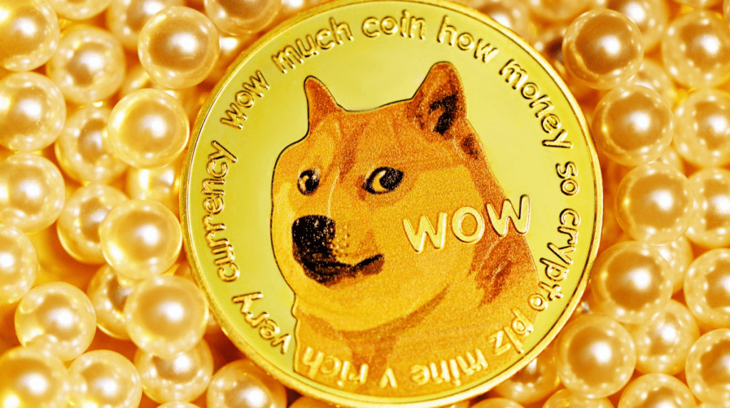 Ice Cube joined the list of people who have openly supported Dogecoin