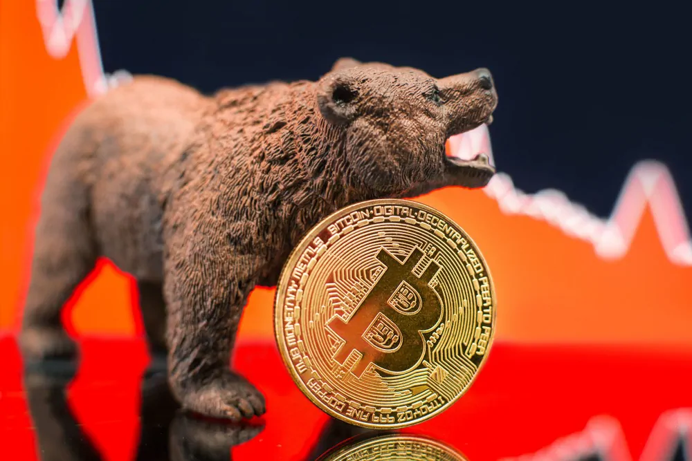 5 Unusual Ways To Profit From Bear Market For Crypto Investors