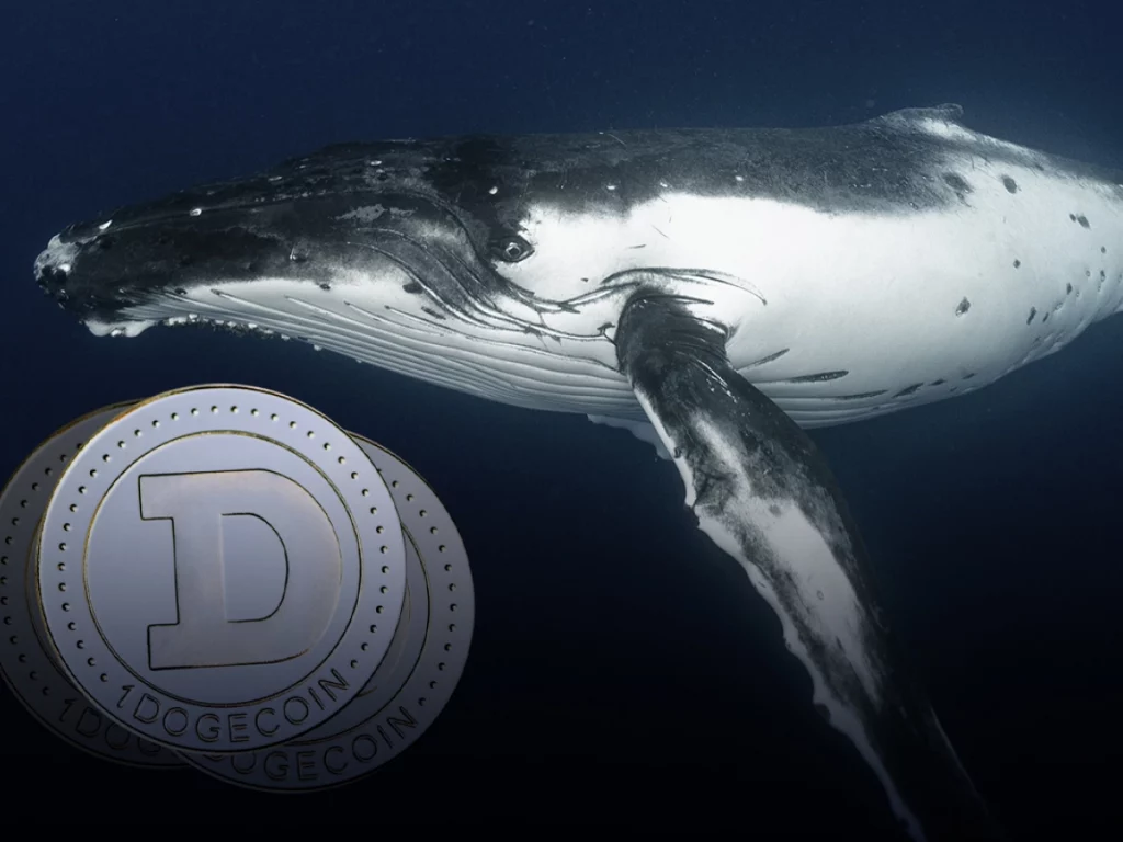 Dogecoin Whale Transactions Increase By 45% As Buying Pressure Increases
