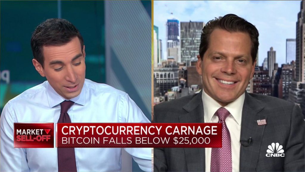 Scaramucci's SkyBridge Is Buying More Bitcoin And Ethereum , Should "Stay Disciplined"
