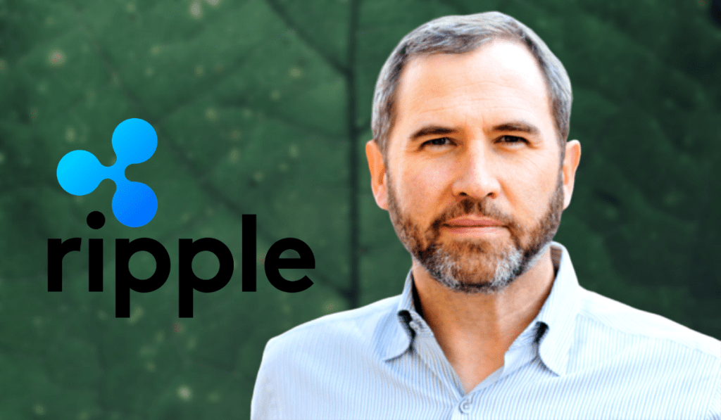 The CEO of Ripple Explains How His Company Survives Bear Markets
