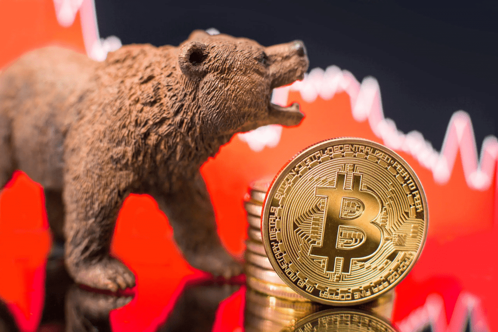 Top 4 Bitcoin Indicators To Watch In A Bear Market