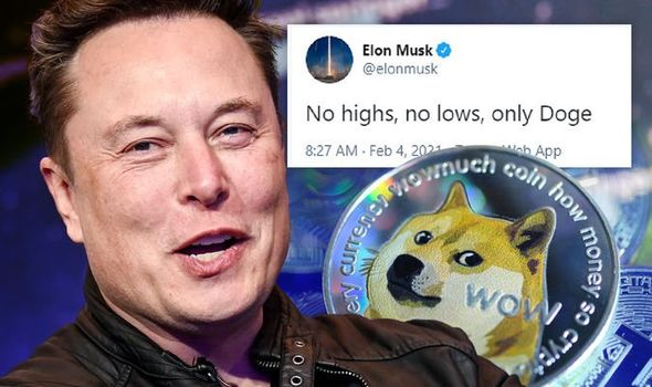Elon Musk sued for Dogecoin shilling