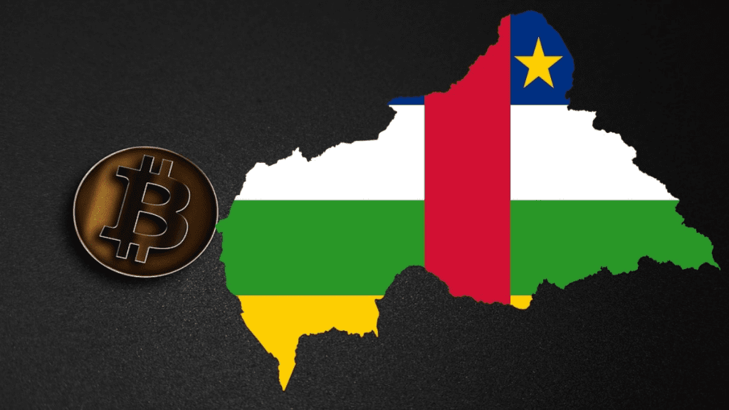 Central African Republic President Believes That Bitcoin Adoption Is The "Right Path." During Market Crash