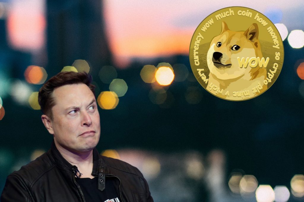 Elon Musk: "I Have Never Said People Should Invest in Crypto"