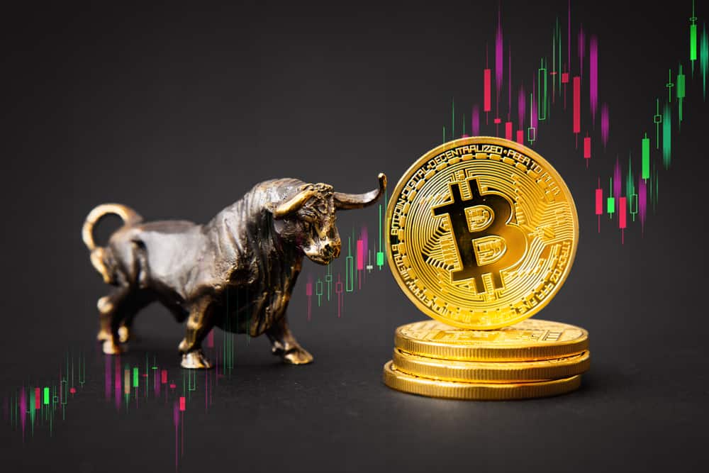 F. Grummes Predicts That The Following Bitcoin Bull Run Will Occur In A Year