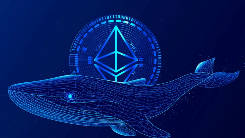 Massive Number Of Ethereum Whales Returned To Market Following 15% Price Increase