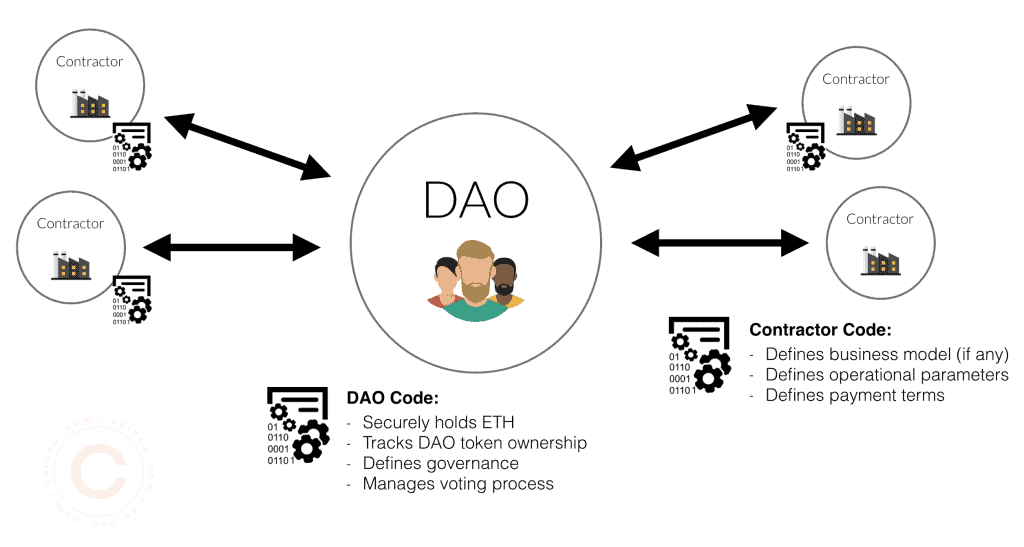 How does a DAO work?