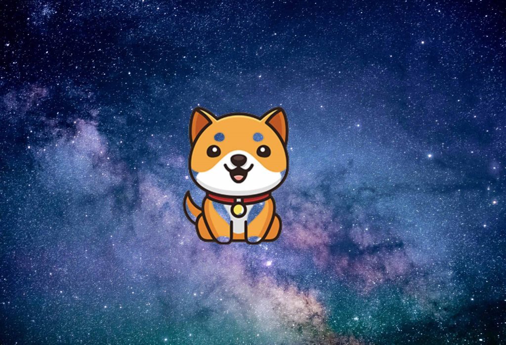 BabyDoge Testnet Launch Is In Less Than 24 Hours