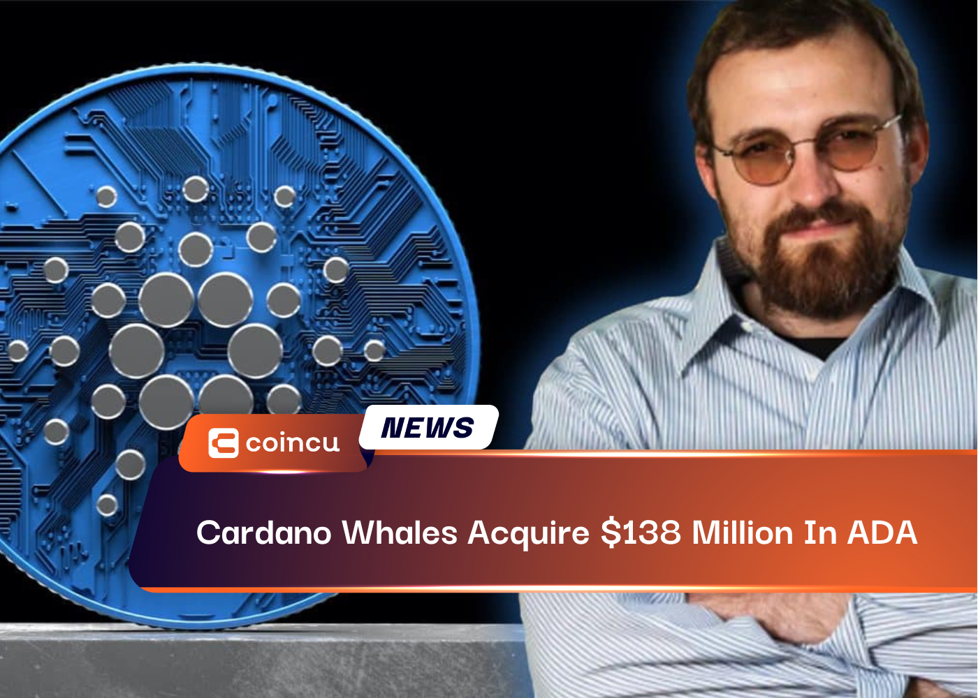 Cardano Whales Acquire $138 Million In ADA