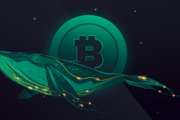 Crypto Whale Cobie Donates A YouTuber Being Sued By BitBoy $100,000