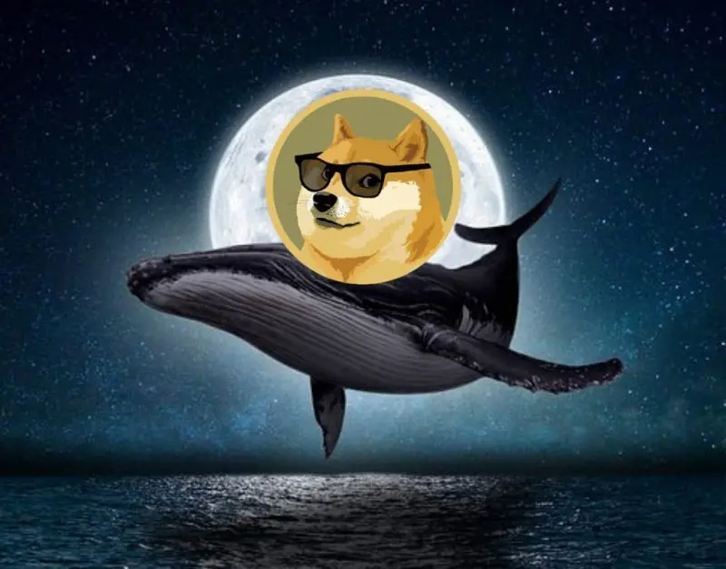 Dogecoin Attracts Whales' Attention And Ranks In The Top 10
