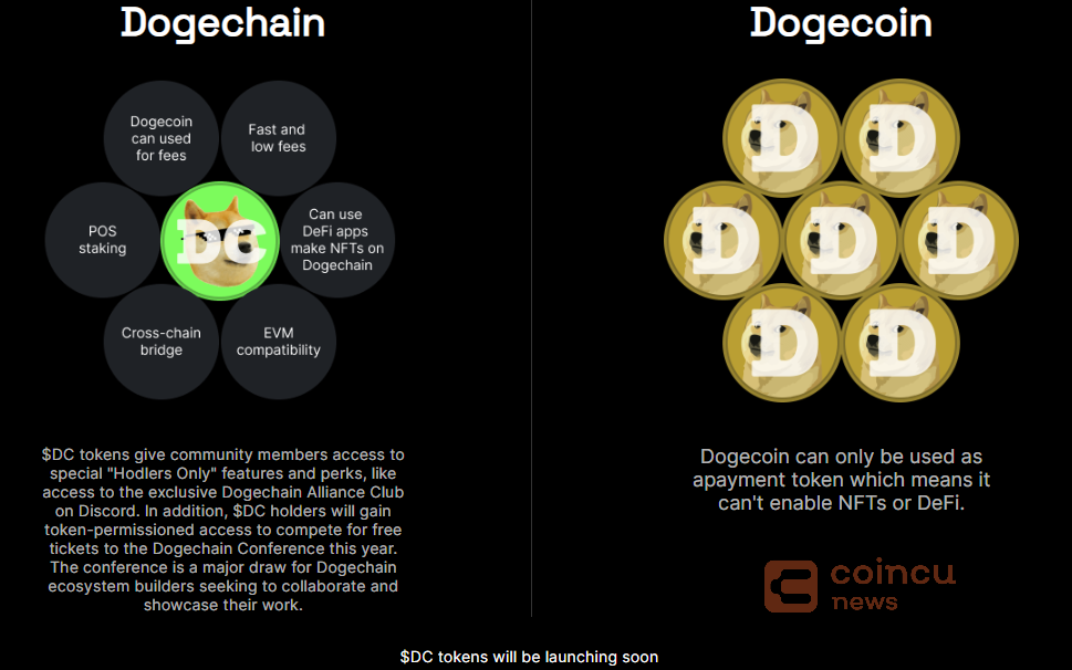 dogecoin and dogechain