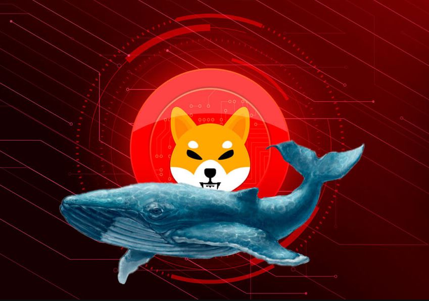Shiba Inu Worth $660 Million Settled In The Pockets Of The 200 Biggest ETH Whales