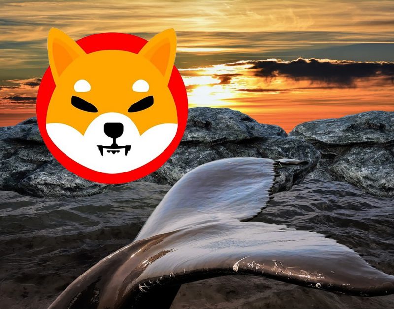 Shiba Inu Worth $660 Million Settled In The Pockets Of The 200 Biggest ETH Whales