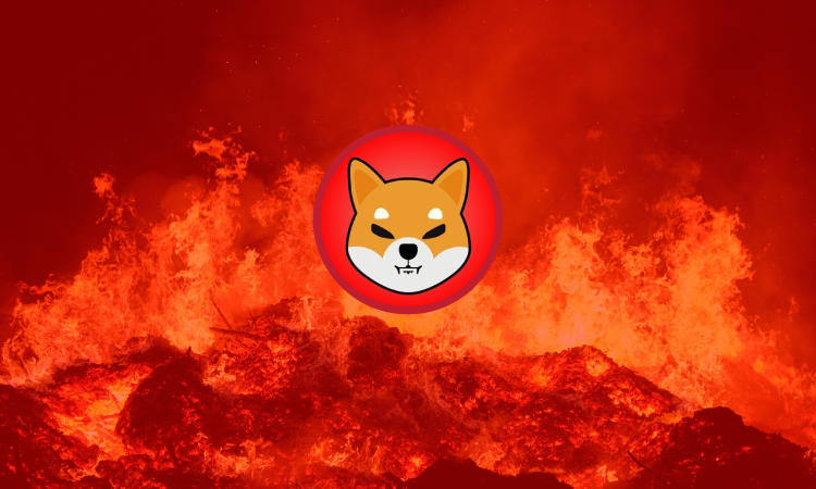 Shiba Inu And Dogecoin Record Gains As Meme Crypto Trading Volumes Jump 151%