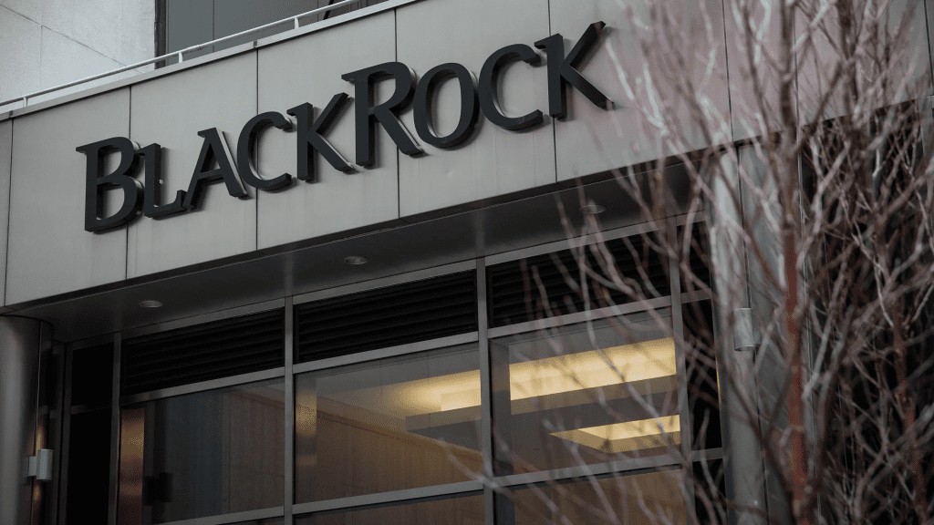 BlackRock's Crypto Address Had Only One Token Few People Know