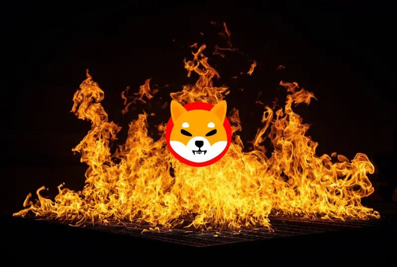 While 105 Million Shiba Inu Are Removed, A New SHIB Burn Portal Is Found