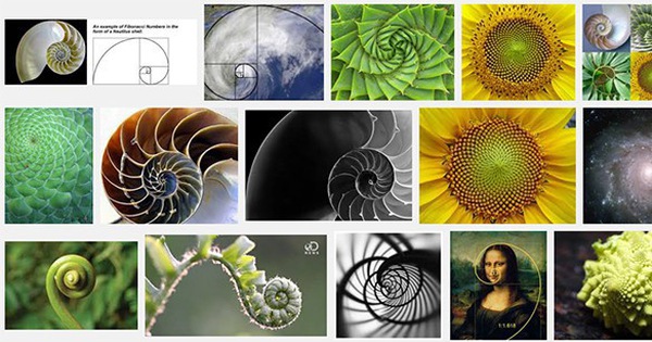 What is Fibonacci