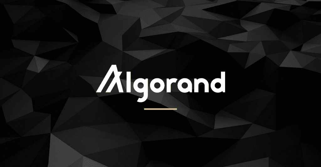 Algorand Appoints Former Head At Visa, Fidelity As CMO