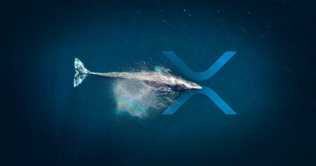 XRP Whales 