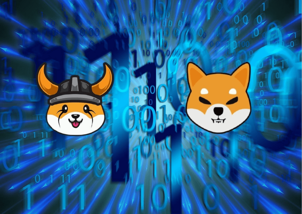 Floki Inu Looks For Opportunities Through Listing On The Binance Exchange