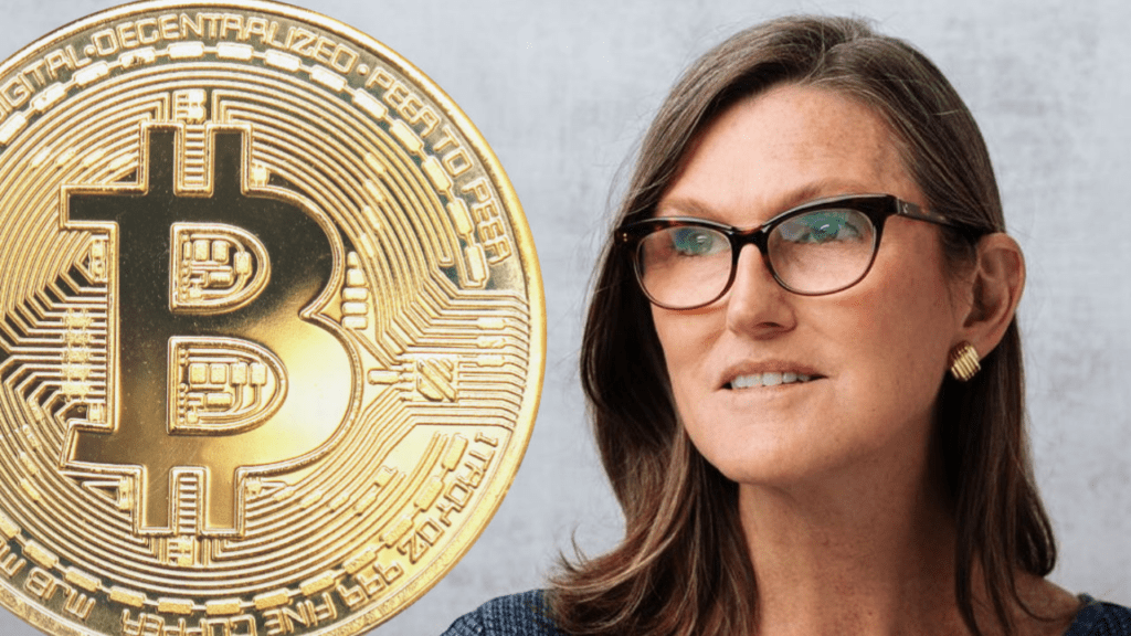 Cathie Wood Became A Bitcoin HODLer When Its Price Was $250