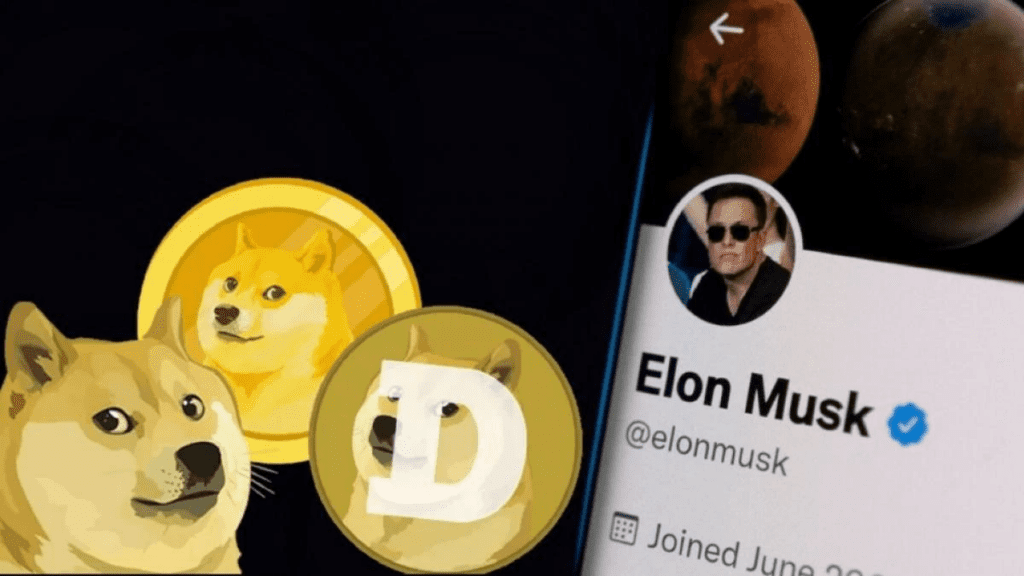 Twitter Might Be Tied To Crypto Under Elon Musk's Administration