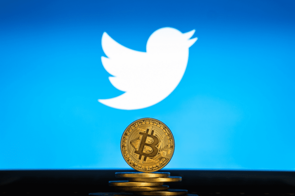 Twitter's Crypto Division Head Left The Company In The Wake Of Musk Mass Layoffs
