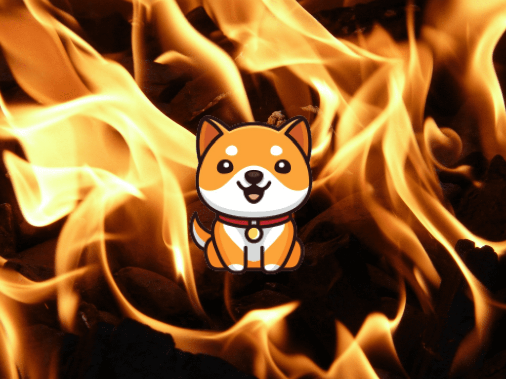 Baby Doge Introduces New Feature To Estimate The Number Of Tokens To Be Burned
