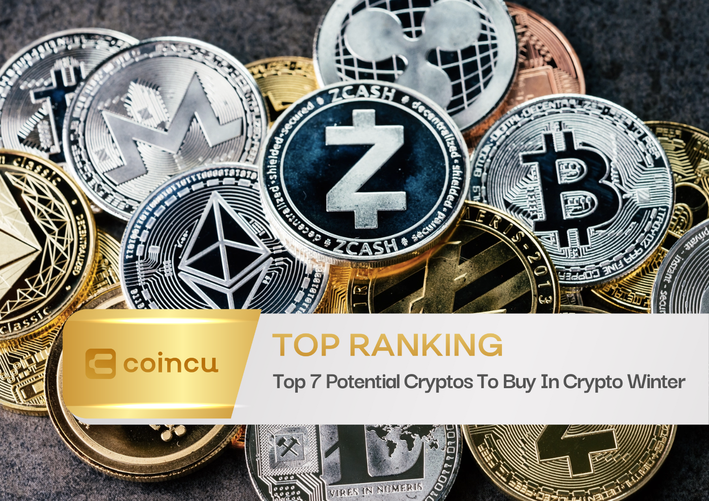 Top 7 Potential Cryptos To Buy In Crypto Winter