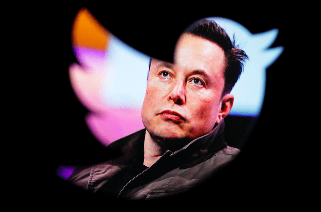 Elon Musk Becomes The Sole Director Of Twitter, DOGE's Price Up 25%